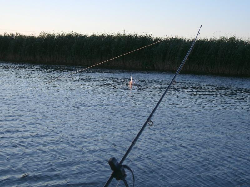 Delta iunie 2013 - gedc0258.JPG